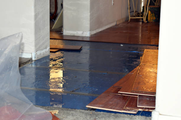 Professional Basement Water Removal technician working in Canaan, ME